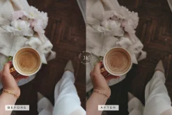 Beige LR Presets + Video Filters