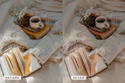Beige LR Presets + Video Filters