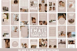 Beige Newsletter Templates
