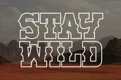 Believe Western - Vintage Slab Serif