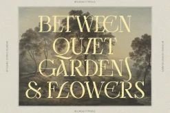 Bellrose Display Serif Font