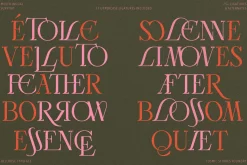 Bellrose Display Serif Font