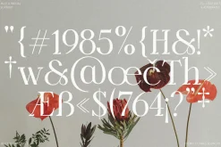 Bellrose Display Serif Font