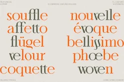 Bellrose Display Serif Font