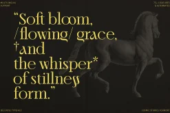 Bellrose Display Serif Font