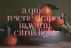Bellrose Display Serif Font