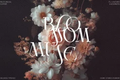 Bellrose Display Serif Font