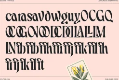 Belvare - Retro Aesthetic Serif