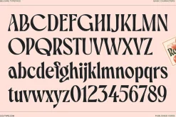 Belvare - Retro Aesthetic Serif