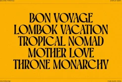 Belvare - Retro Aesthetic Serif