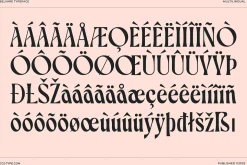 Belvare - Retro Aesthetic Serif