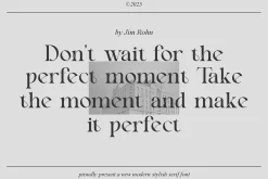 Beniga || Modern Elegant Serif Font