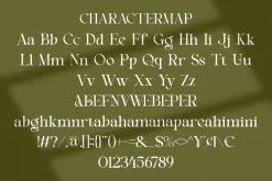 Beniga || Modern Elegant Serif Font