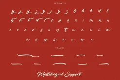 Benton Achita Bold Brush Font