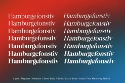 Bermula Serif
