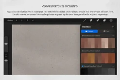 Bernard Picart Procreate Kit
