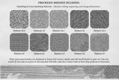 Bernard Picart Procreate Kit