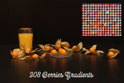 Berries Gradients