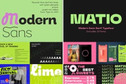 Bestseller Sans Serif Bundle