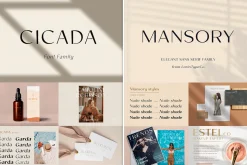 Bestseller Sans Serif Bundle
