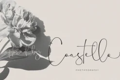 Bethany Script - Elegant Font