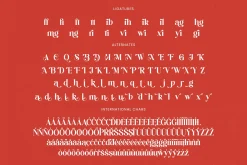 Beyond Wandler Modern Serif Font