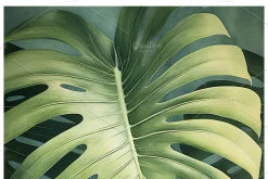 Bief Co · Botanical Leaf Backgrounds