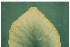 Bief Co · Botanical Leaf Backgrounds