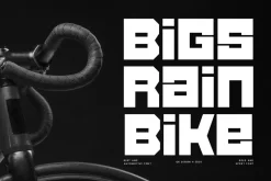 Bigsrain Bike - Blocky & Automotive
