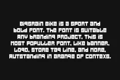 Bigsrain Bike - Blocky & Automotive