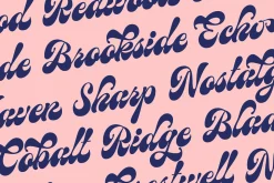 Birchside Script