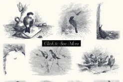 82 Birds, Butterflies, Bees & Bugs