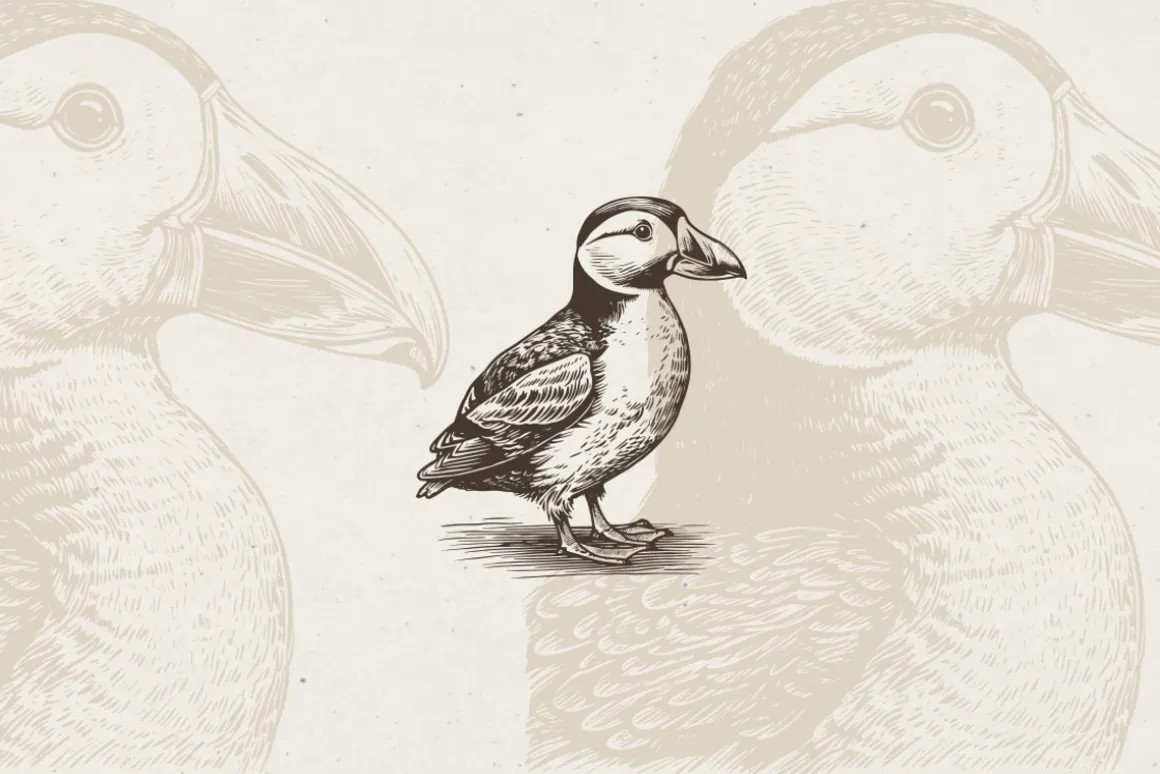 260 Birds Illustrations