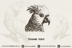 260 Birds Illustrations