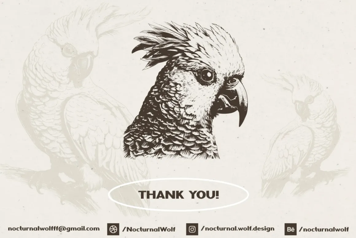 260 Birds Illustrations