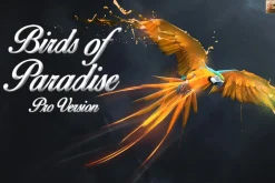 Birds of Paradise ©