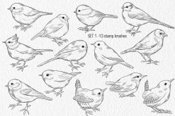 Birds Stamp brushes for Procreate