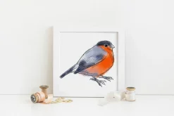 Birds Stamp brushes for Procreate