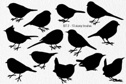 Birds Stamp brushes for Procreate
