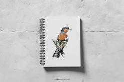 Birds watercolor illustrations set
