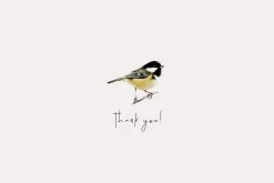 Birds watercolor illustrations set