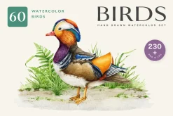 Birds Watercolor Painted Set
