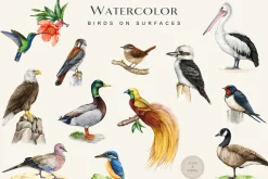 Birds Watercolor Painted Set