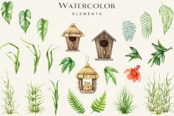 Birds Watercolor Painted Set