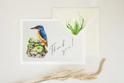 Birds Watercolor Painted Set