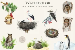 Birds Watercolor Painted Set