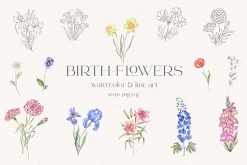 Birth-Flowers. Watercolor & Line Art