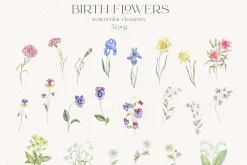 Birth-Flowers. Watercolor & Line Art