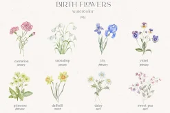 Birth-Flowers. Watercolor & Line Art