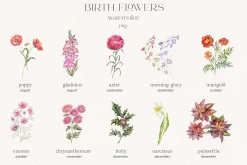 Birth-Flowers. Watercolor & Line Art